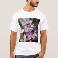miniature orchids