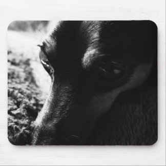 MINIATURE PINCHER MOUSE PAD