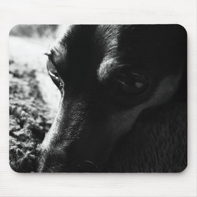 MINIATURE PINCHER MOUSE PAD (Front)