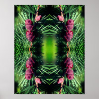Miniature Pinecones Close Up Abstract