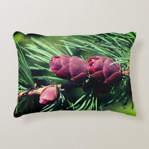 Miniature Pinecones Close Up Decorative Cushion