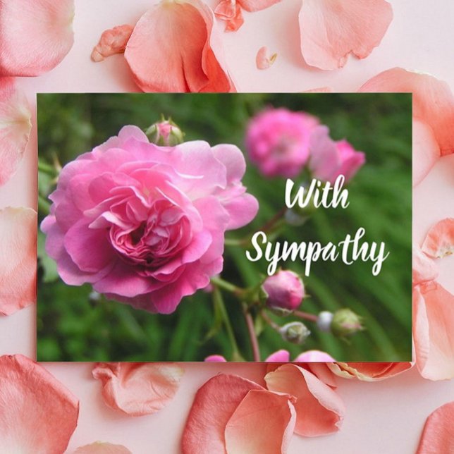 Miniature Pink Roses Large Font Sympathy Card (Creator Uploaded)