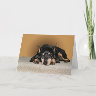 Miniature Pinscher aka Min Pin Card