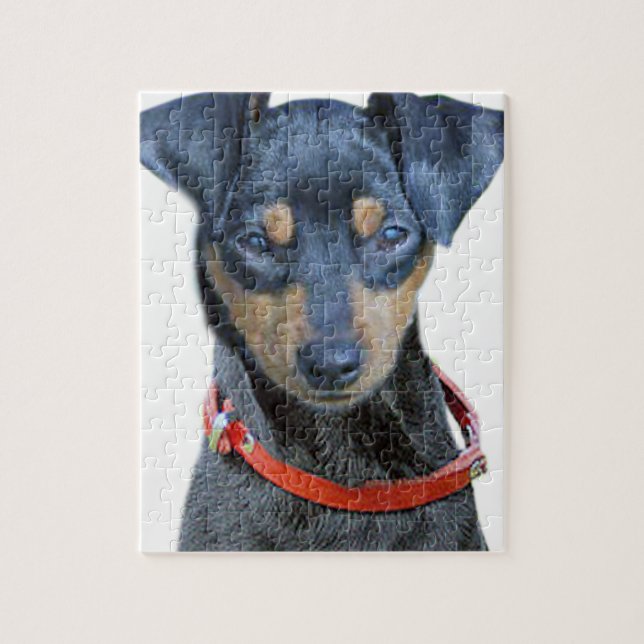 Miniature Pinscher Black and Brown Jigsaw Puzzle (Vertical)