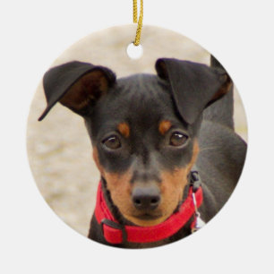 miniature-pinscher-black and rust ceramic tree decoration