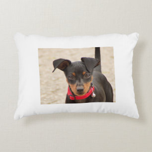 miniature-pinscher-black and rust decorative cushion