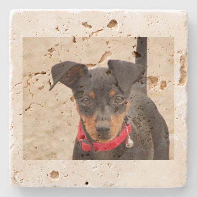 miniature-pinscher-black and rust stone coaster (Front)