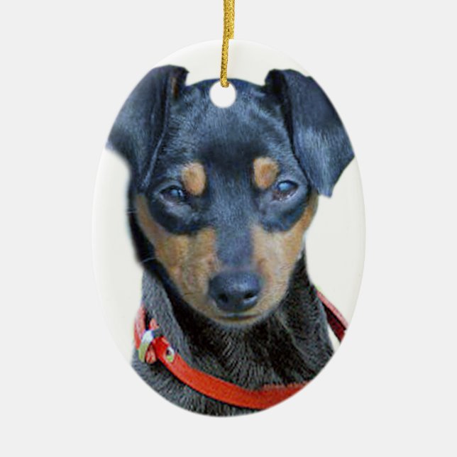 Miniature Pinscher Black Puppy Ceramic Tree Decoration (Front)