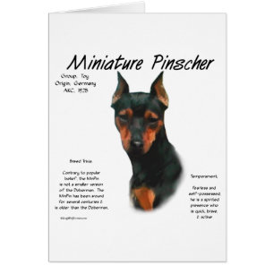 Miniature Pinscher (blk/rust) History Design