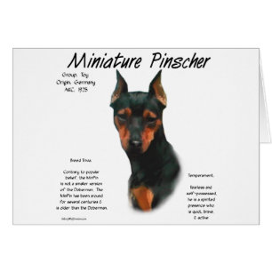 Miniature Pinscher (blk/rust) History Design