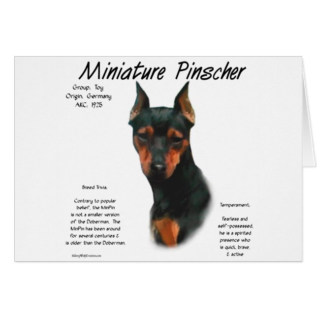 Miniature Pinscher (blk/rust) History Design (Front Horizontal)