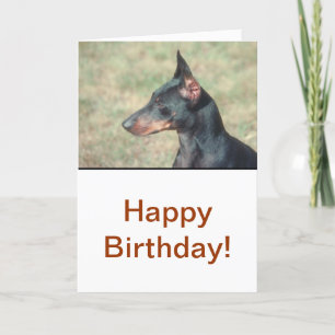 Miniature Pinscher Card