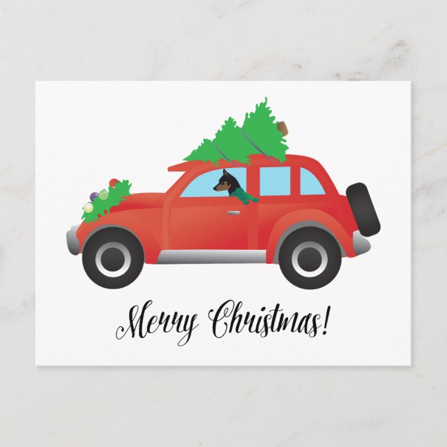 Miniature Pinscher Christmas Car Holiday Postcard (Front)