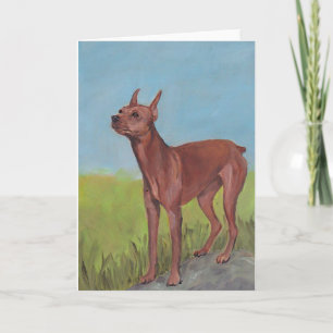 Miniature Pinscher Dog Art Greeting Card