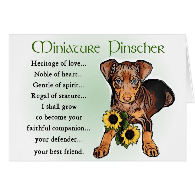 Miniature Pinscher Gifts (Front Horizontal)