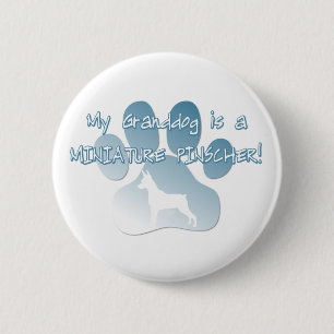 Miniature Pinscher Granddog 6 Cm Round Badge