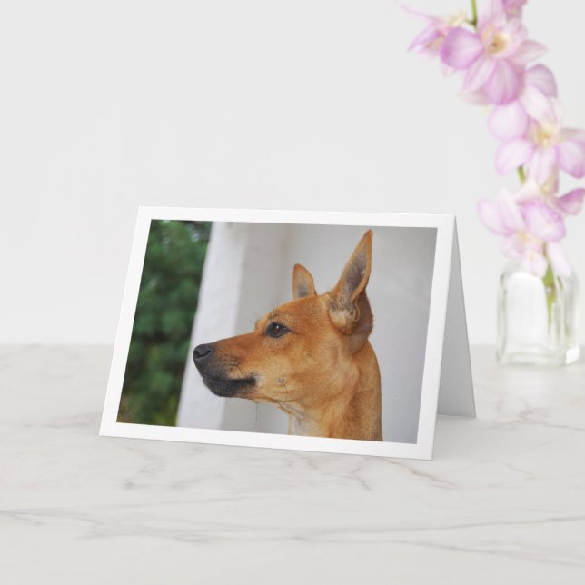 Miniature Pinscher Head Portrait Card (Orchid)