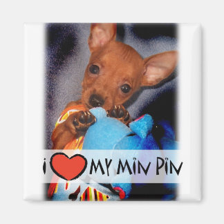 Miniature Pinscher Magnet