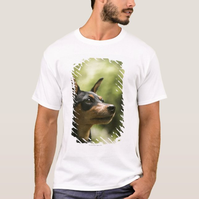 Miniature Pinscher (Min-Pin) 2 T-Shirt (Front)