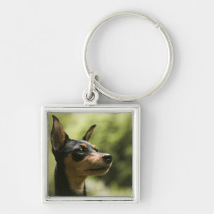 Miniature Pinscher (Min-Pin) Key Ring