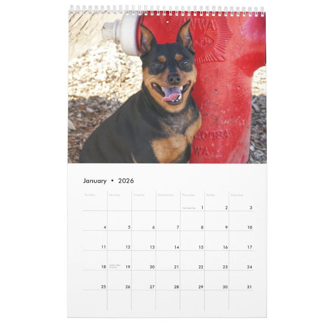 Miniature Pinscher One Calendar (Jan 2026)