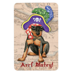 Miniature Pinscher Pirate Magnet