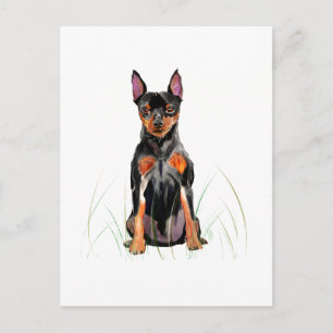 Miniature Pinscher Postcard, Min Pin Postcard