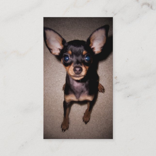 miniature pinscher pup business card (Front)