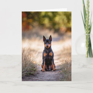 Miniature Pinscher Sitting Card