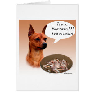 Miniature Pinscher Turkey