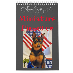 Miniature Pinschers  Calendar