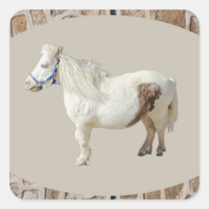 Miniature pony mini WHITE HORSE small animal Square Sticker