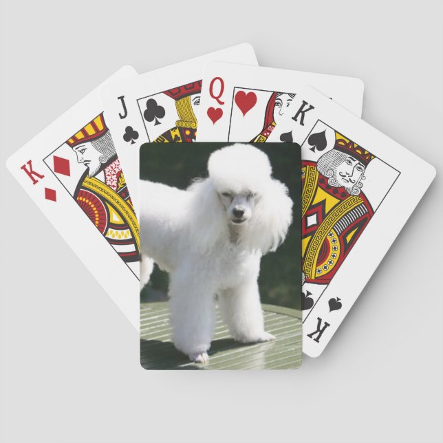 Miniature Poodle White Playing Cards (Back)