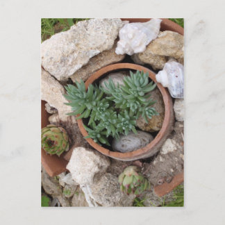 Miniature Rockery Postcard