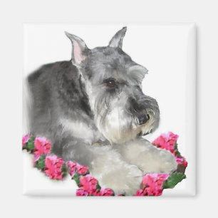 Miniature Schnauzer Art Gifts Magnet