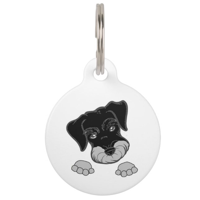 miniature schnauzer black and silver peeking pet tag (Front)