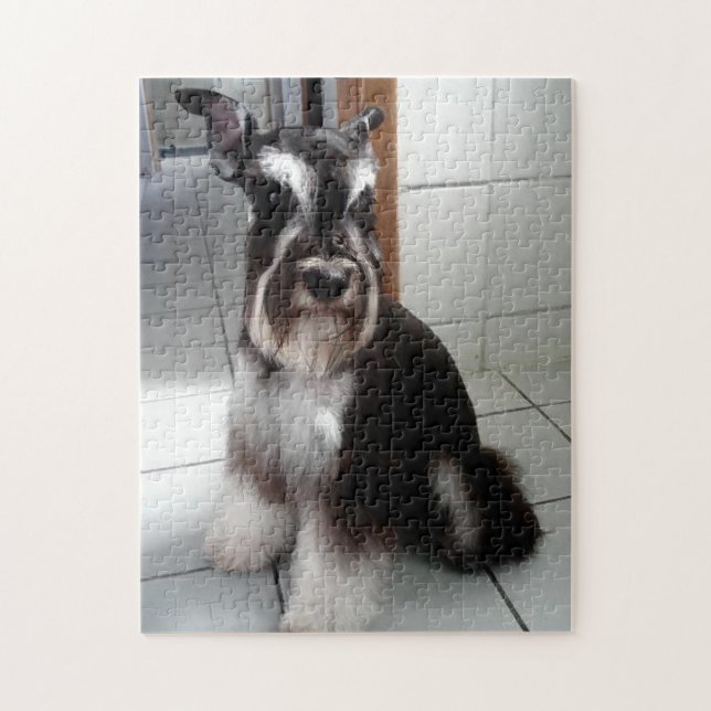 Miniature Schnauzer Black and Silver Sitting Jigsaw Puzzle (Vertical)