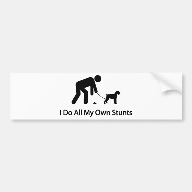 Miniature Schnauzer Bumper Sticker (Front)