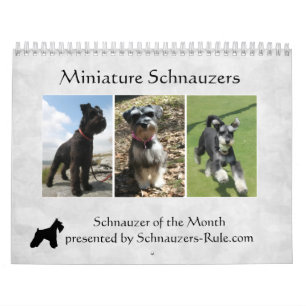 Miniature Schnauzer Calendar