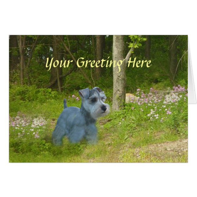 Miniature Schnauzer Card (Front Horizontal)