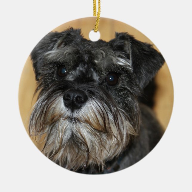 Miniature Schnauzer Ceramic Tree Decoration (Front)