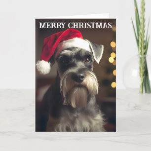 Miniature Schnauzer Christmas Card