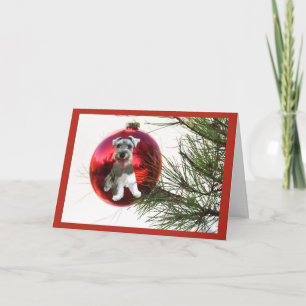 Miniature Schnauzer Christmas Card Ball Hanging