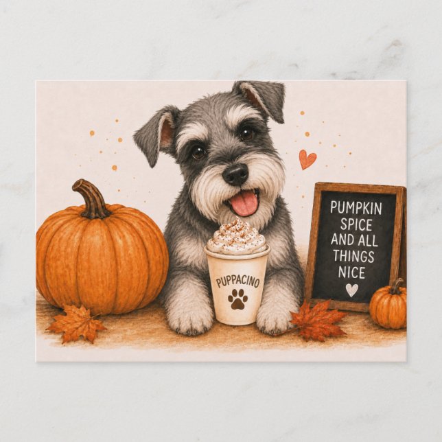 Miniature Schnauzer Cozy Pumpkin Spice Postcard (Front)