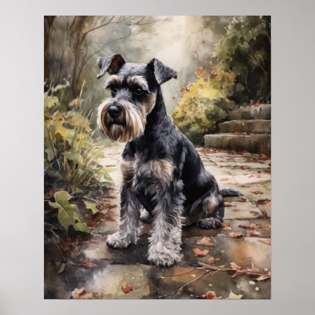 Miniature Schnauzer Dog Art Print Poster (Front)