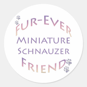 Miniature Schnauzer  Furever Classic Round Sticker