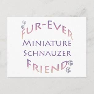Miniature Schnauzer  Furever Postcard