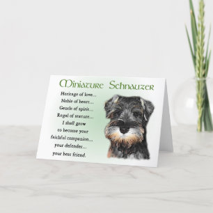 Miniature Schnauzer Gifts Card