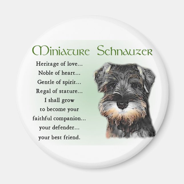 Miniature Schnauzer Gifts Magnet (Front)