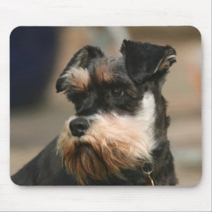 miniature schnauzer mouse pad